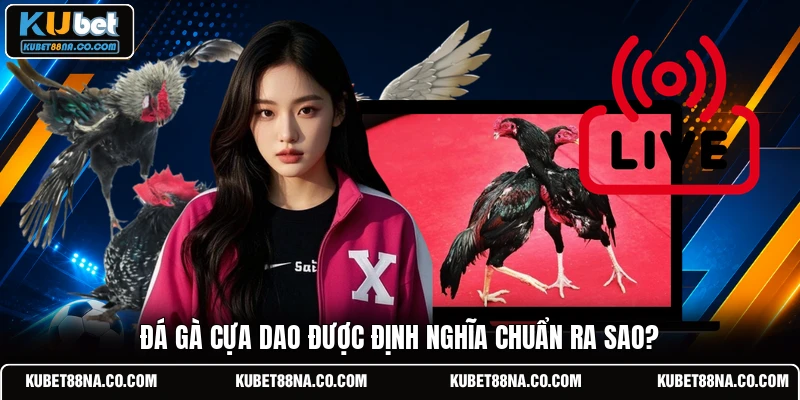 Đá gà cựa dao được định nghĩa chuẩn ra sao?