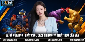 Đá Gà Cựa Dao - Luật Chơi, Cách Thi Đấu Và Thuật Ngữ Căn Bản