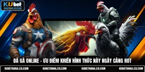 Đá Gà Online - Ưu Điểm Khiến Hình Thức Này Ngày Càng Hot