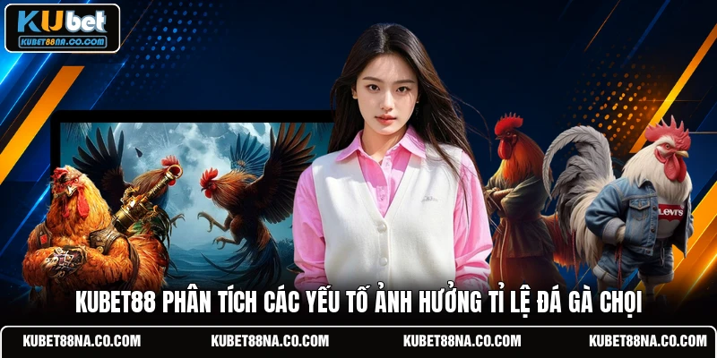 KUBET88 phân tích các yếu tố ảnh hưởng tỉ lệ đá gà chọi