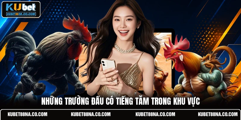 Những trường đấu có tiếng tăm trong khu vực