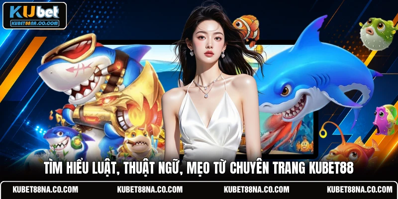 Tìm hiểu luật, thuật ngữ, mẹo từ chuyên trang KUBET88